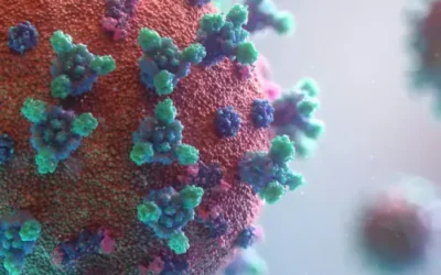 County Launches Emergency Small Business Fund